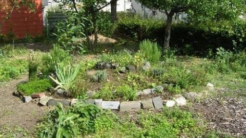 Humboldt gymnasium garden